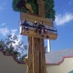 I'm way up there